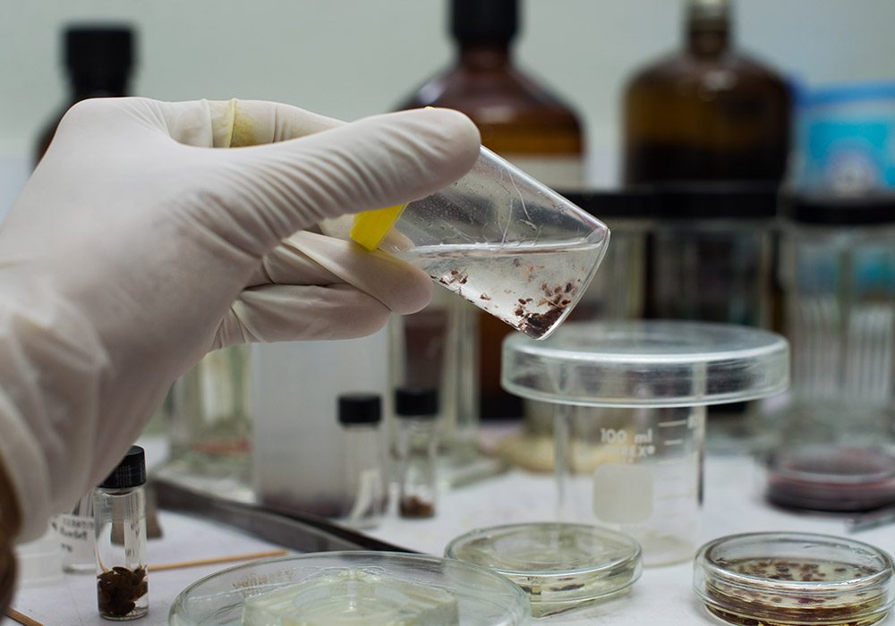 Environmental-Monitoring-&-Laboratory-Services